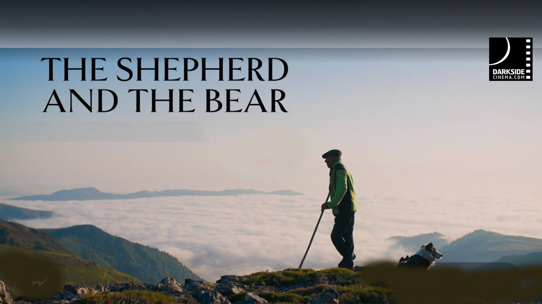 THE SHEPHERD AND THE BEAR